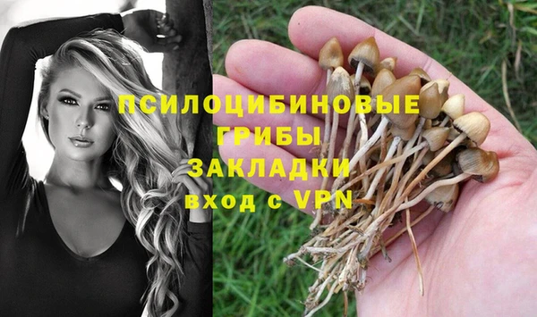 mdpv Арсеньев